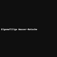 Eigenwillige Wasser-Rutsche
